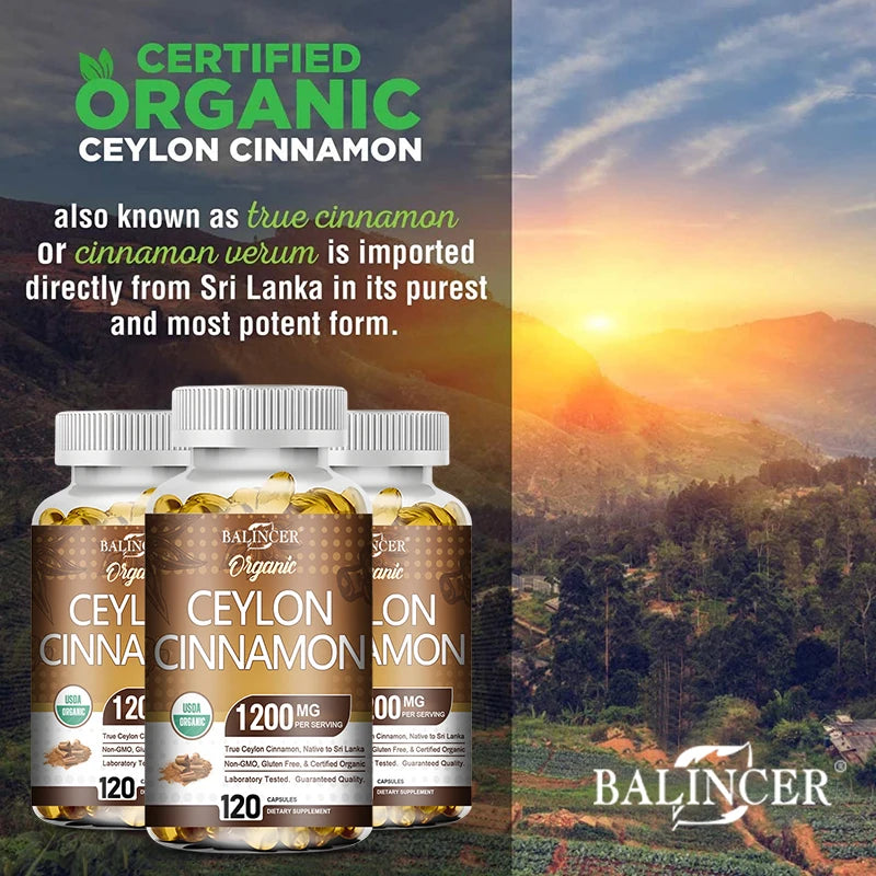 Organic Ceylon Cinnamon 1200mg Capsules Supports Healthy Blood Sugar Levels Digestion Antioxidant Ceylon Cinnamon Vegan
